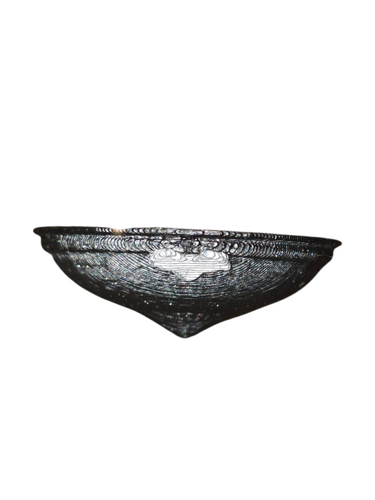 Gothic Chalice water bowl - Bugs & Beyond