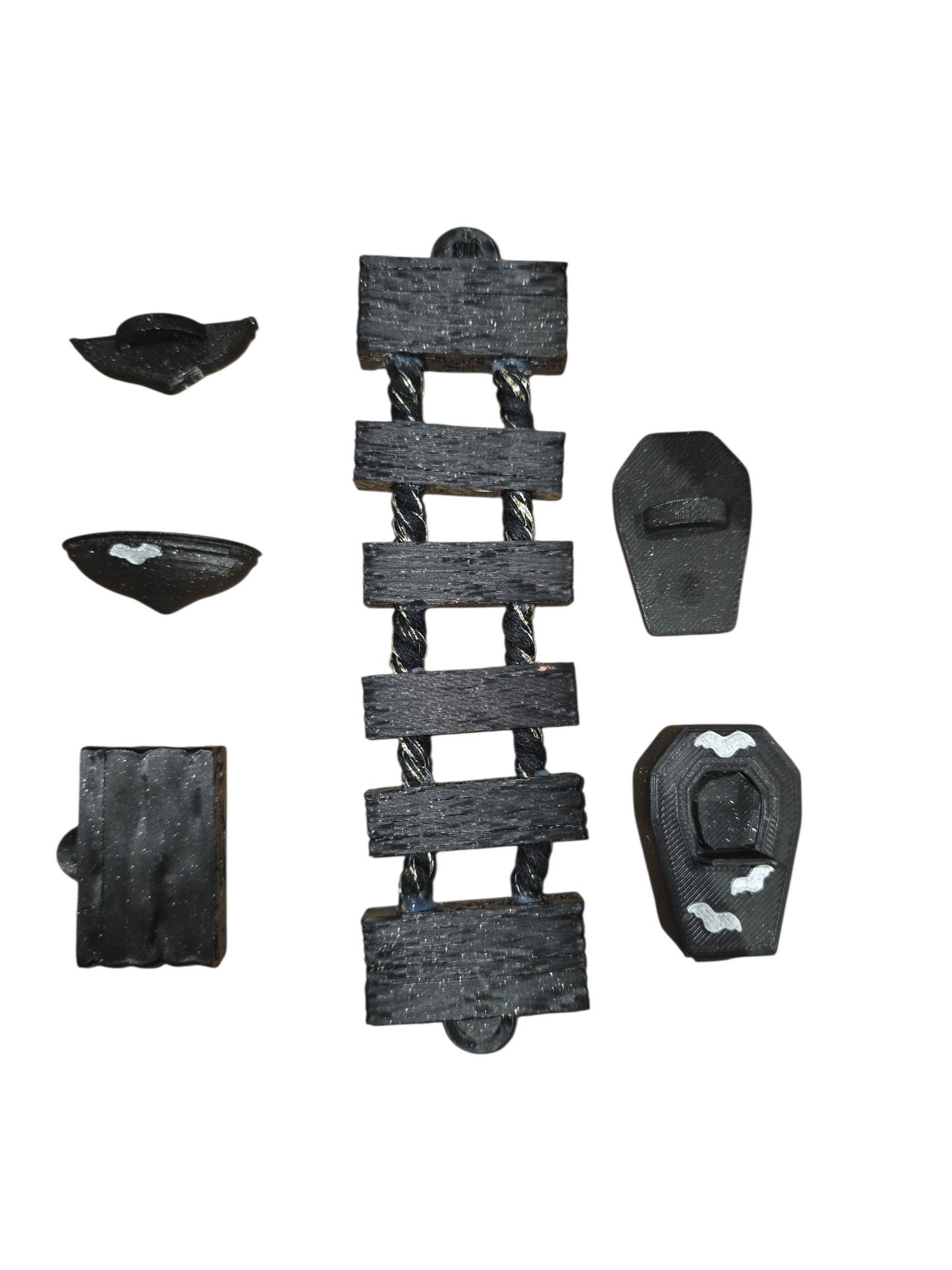 Gothic Jumping Spider bundle - Bugs & Beyond