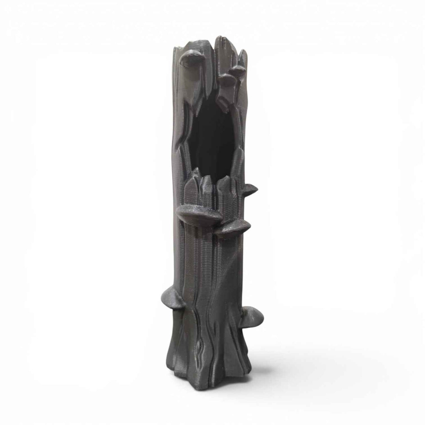Hollow Tree