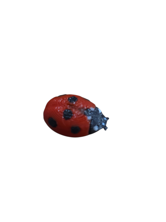 Magnetic bugs