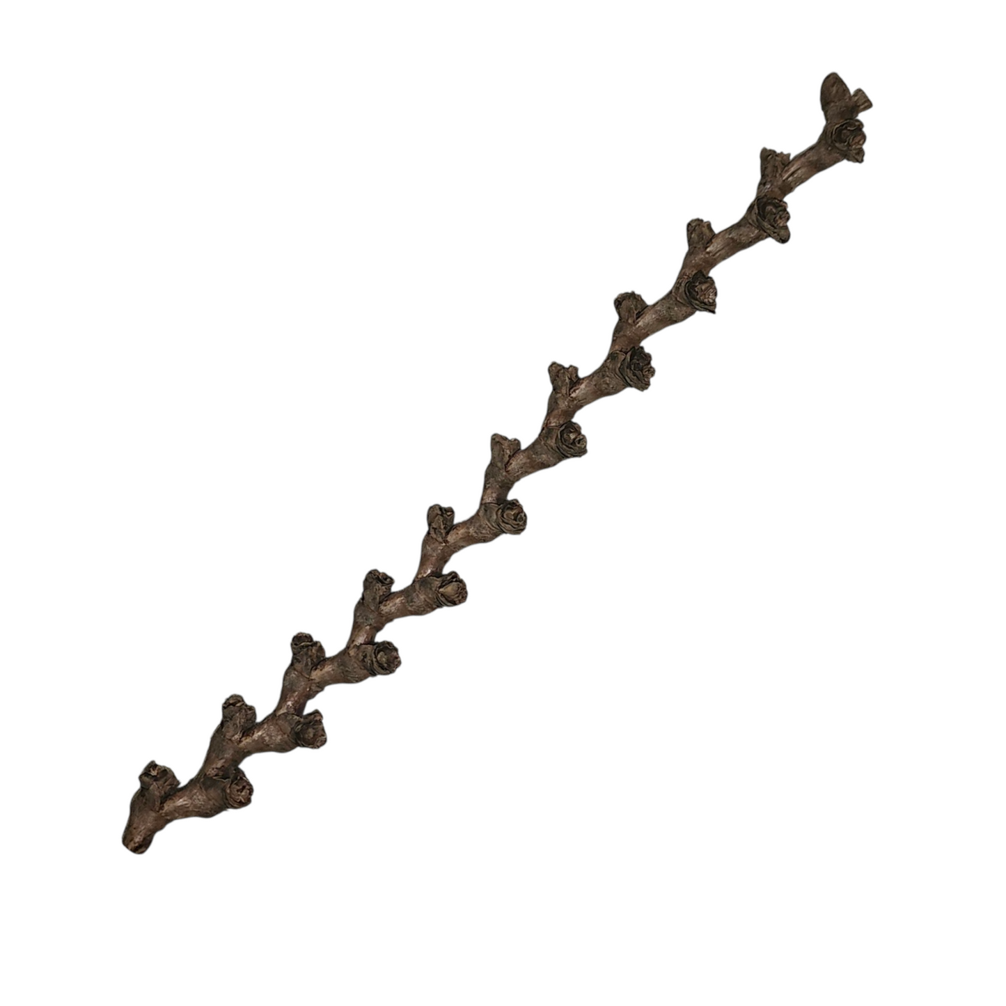 Buriti Twig