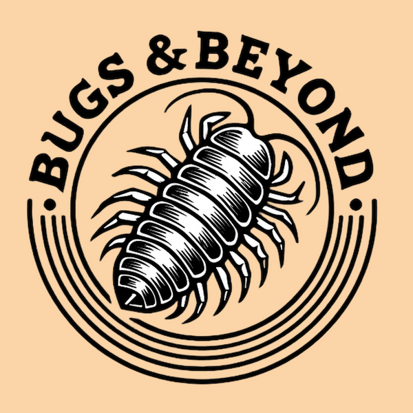 Bugs & Beyond