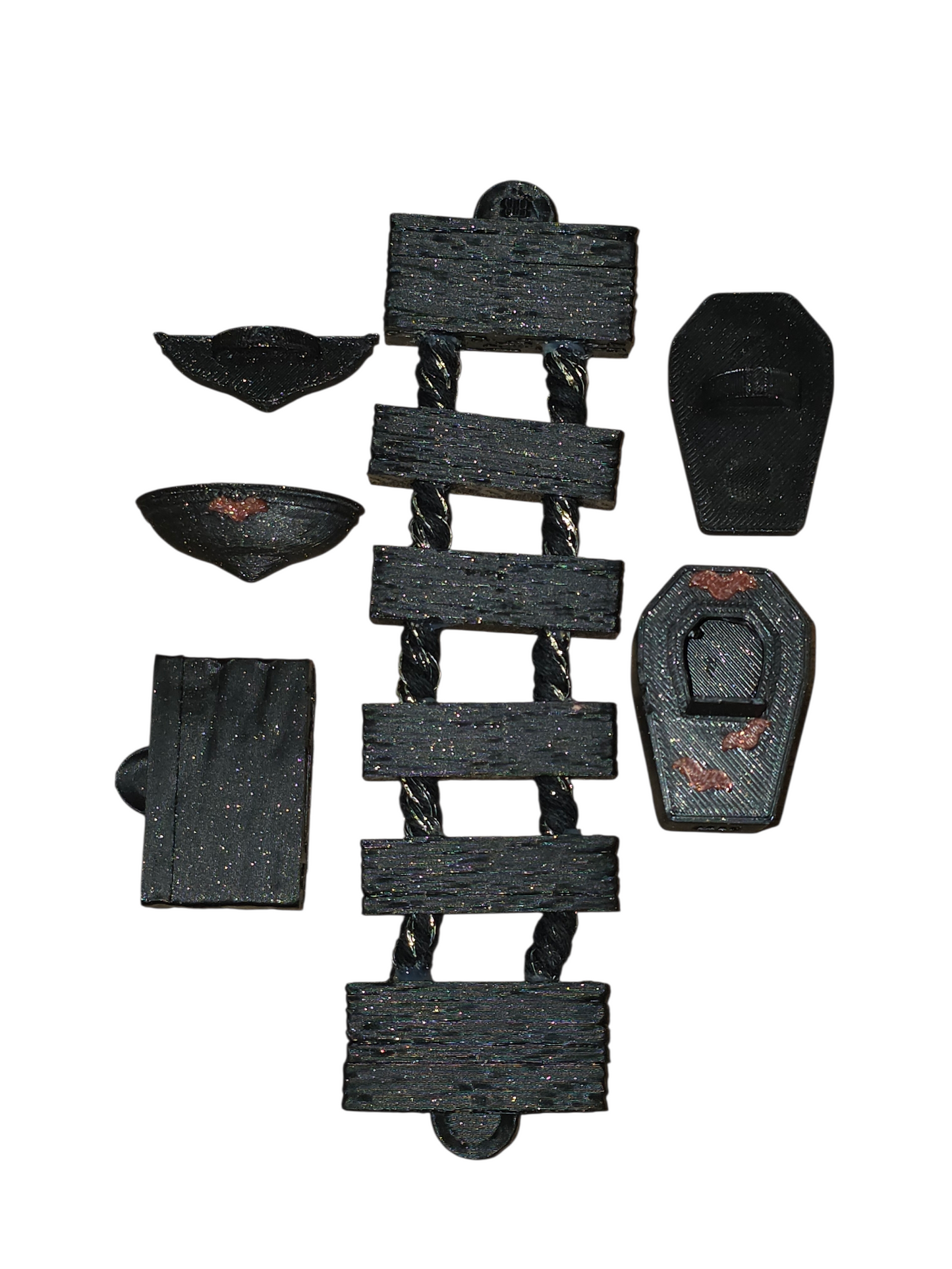 Gothic Jumping Spider bundle - Bugs & Beyond