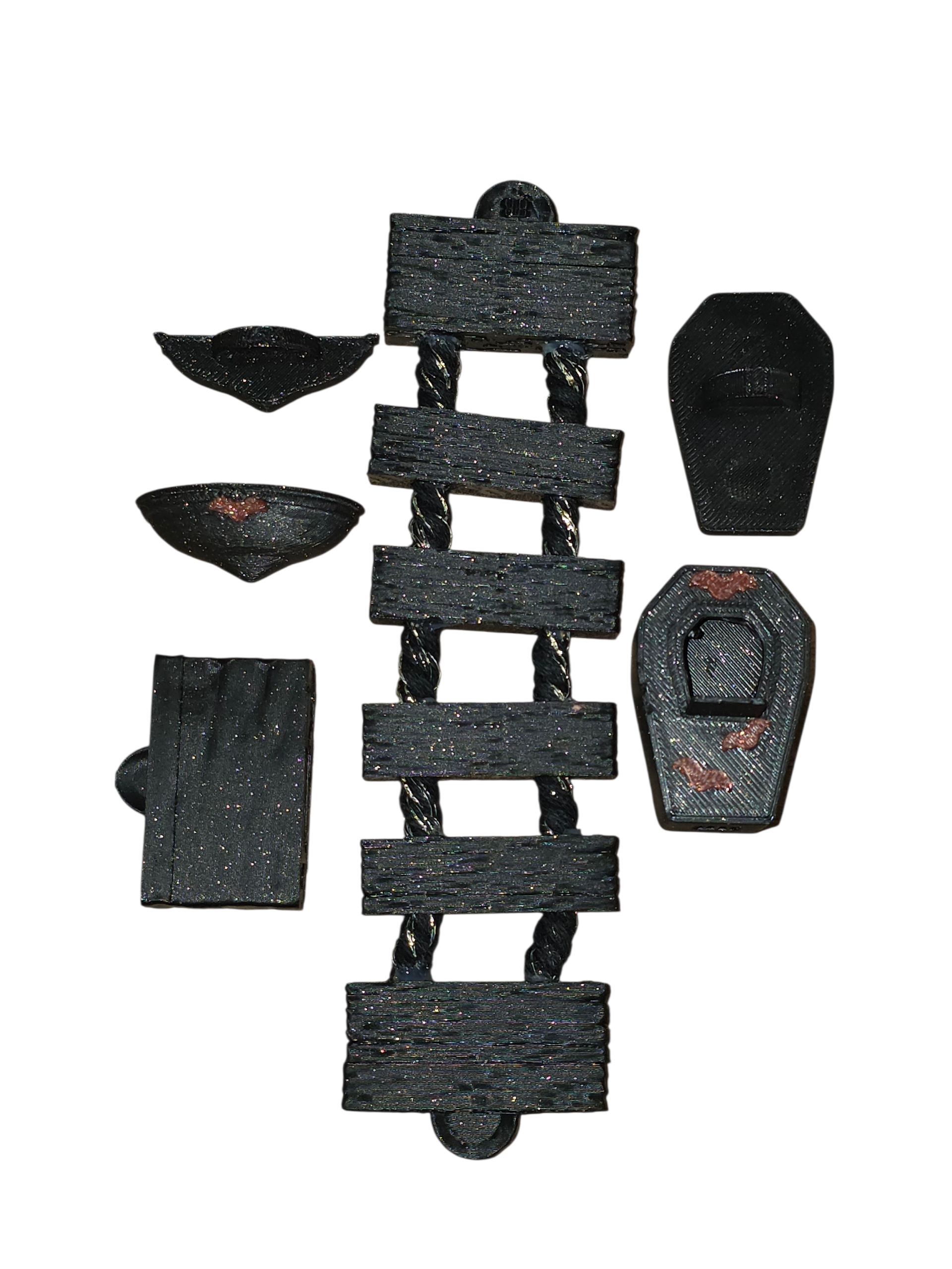 Gothic Jumping Spider bundle - Bugs & Beyond