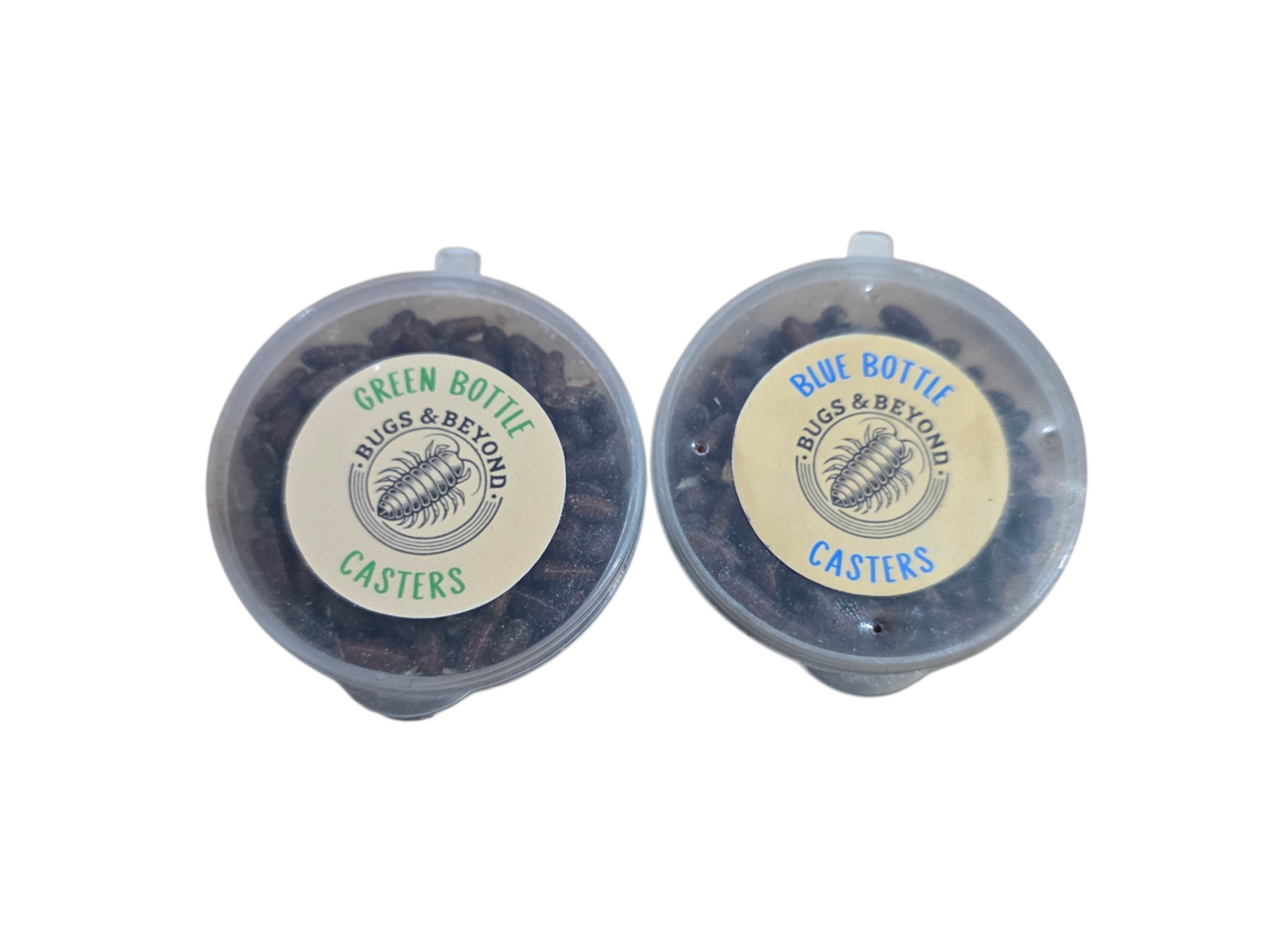 Fly Casters
