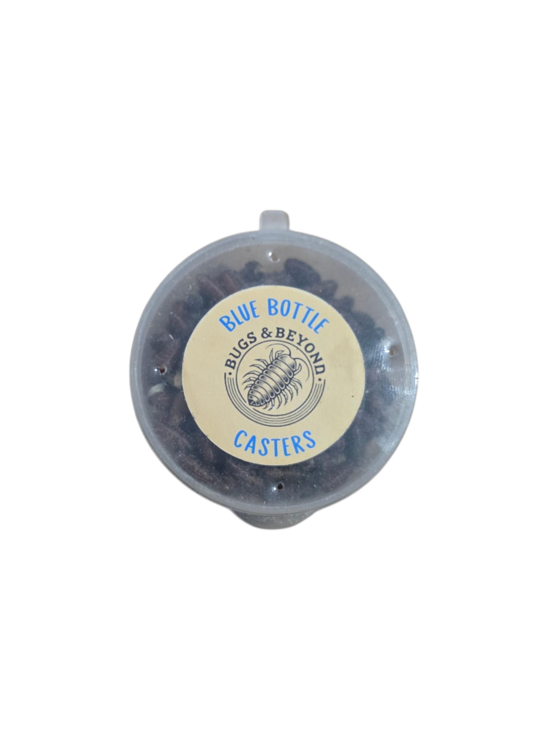 Fly Casters