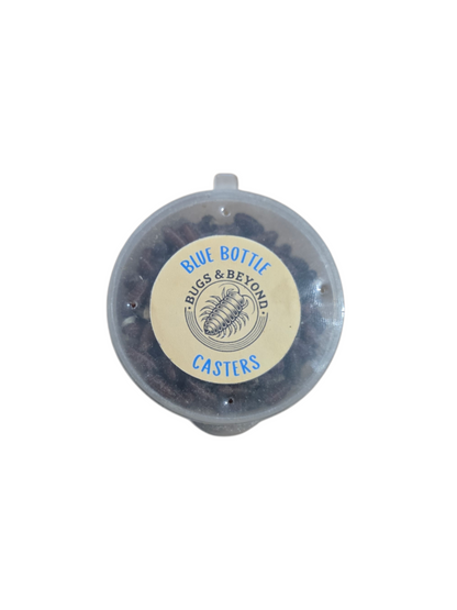 Fly Casters