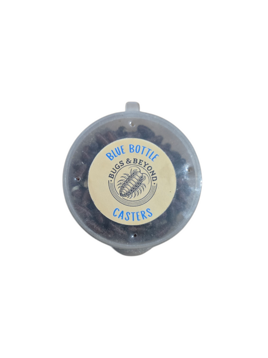 Fly Casters