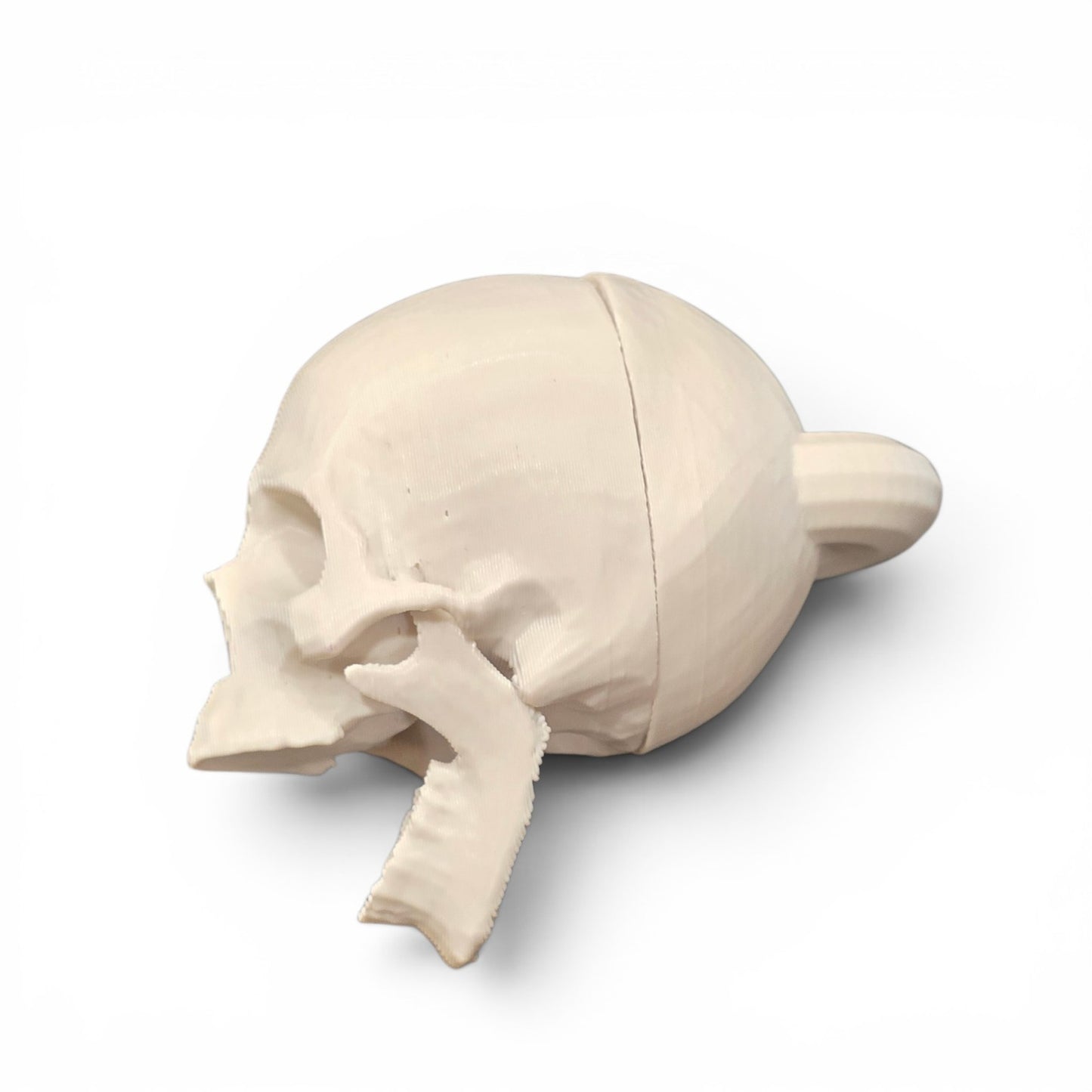Bone Skull hide