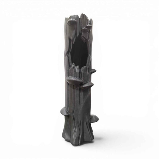 Hollow Tree