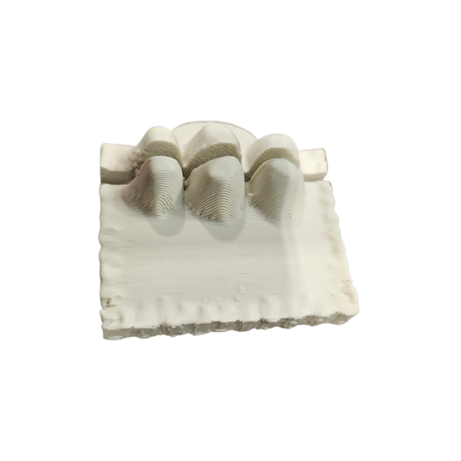 Bone Shelf