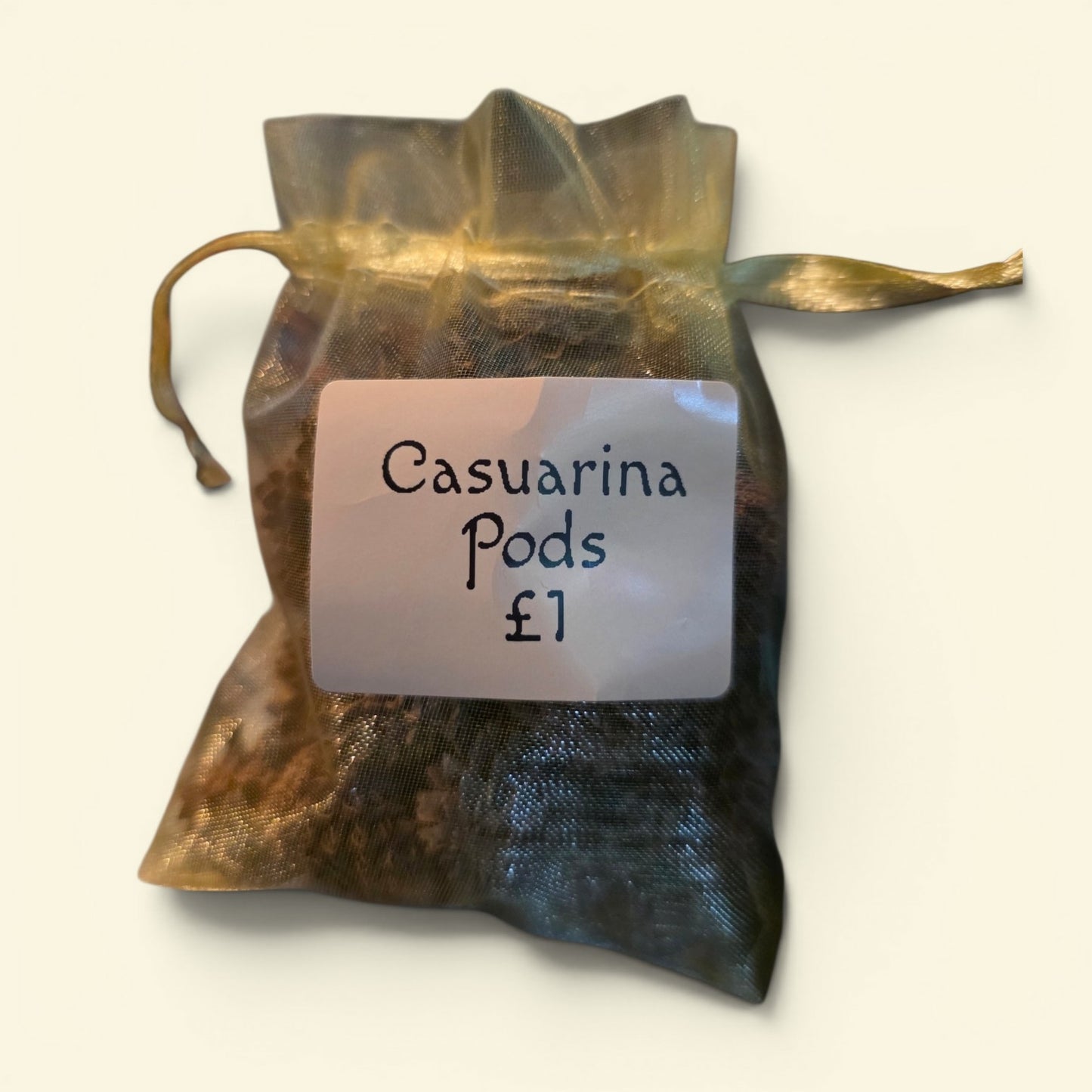 Casuarina Pods