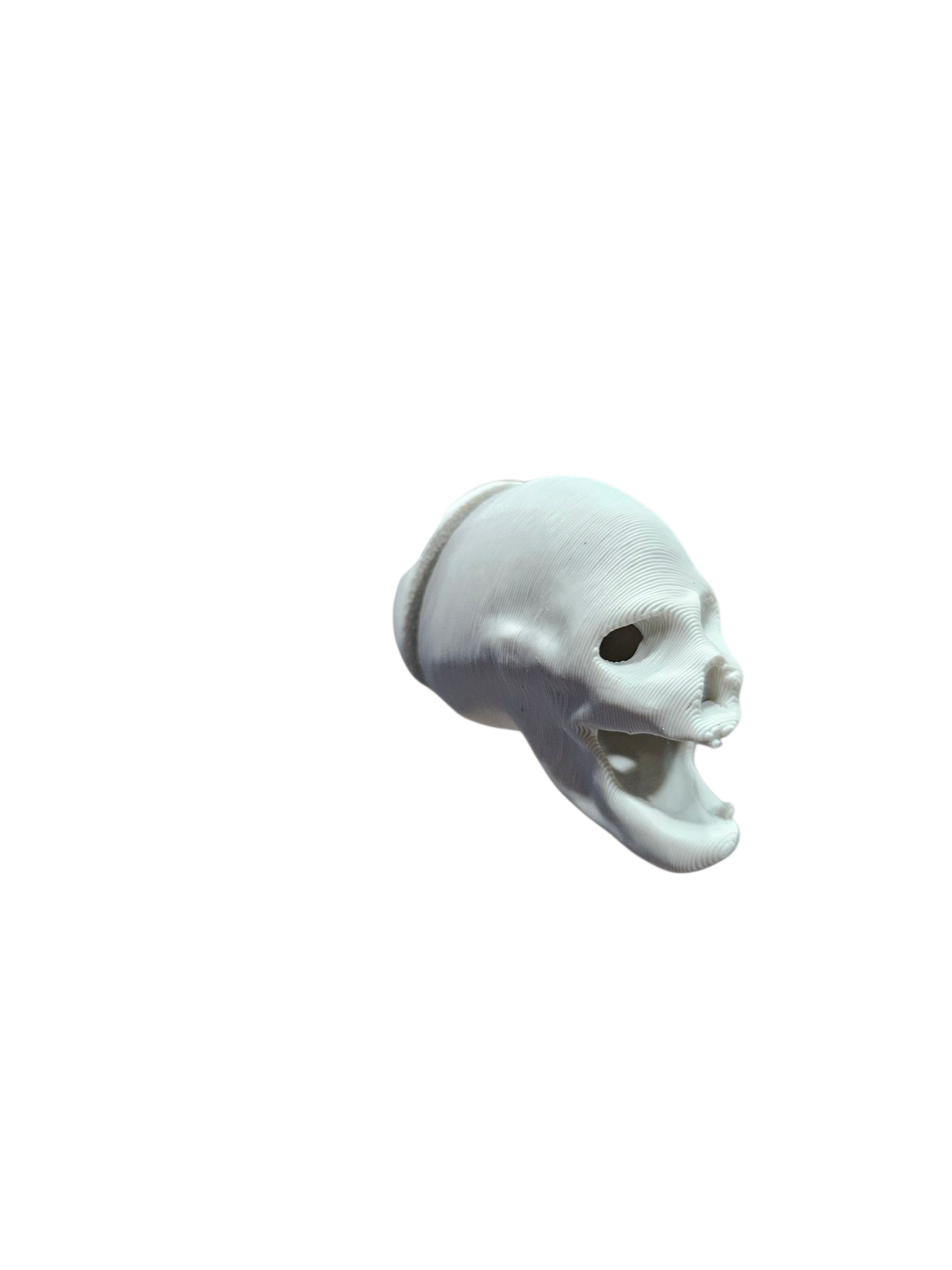 matte-ivory-skull-jumping-spider-hide