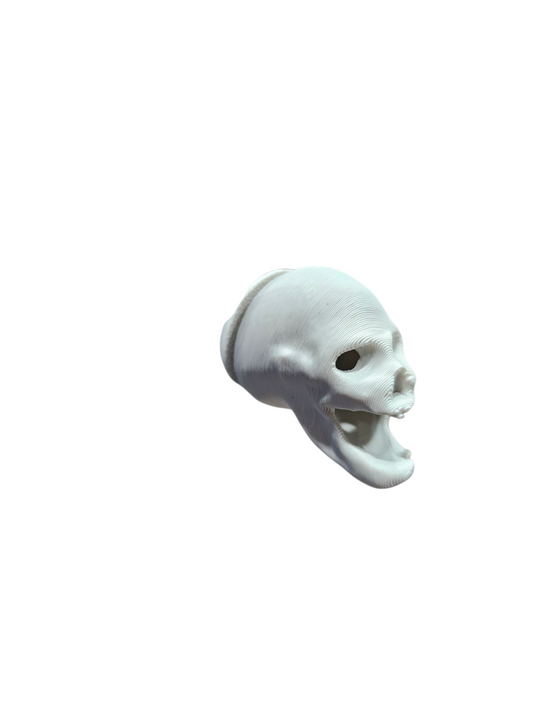matte-ivory-skull-jumping-spider-hide