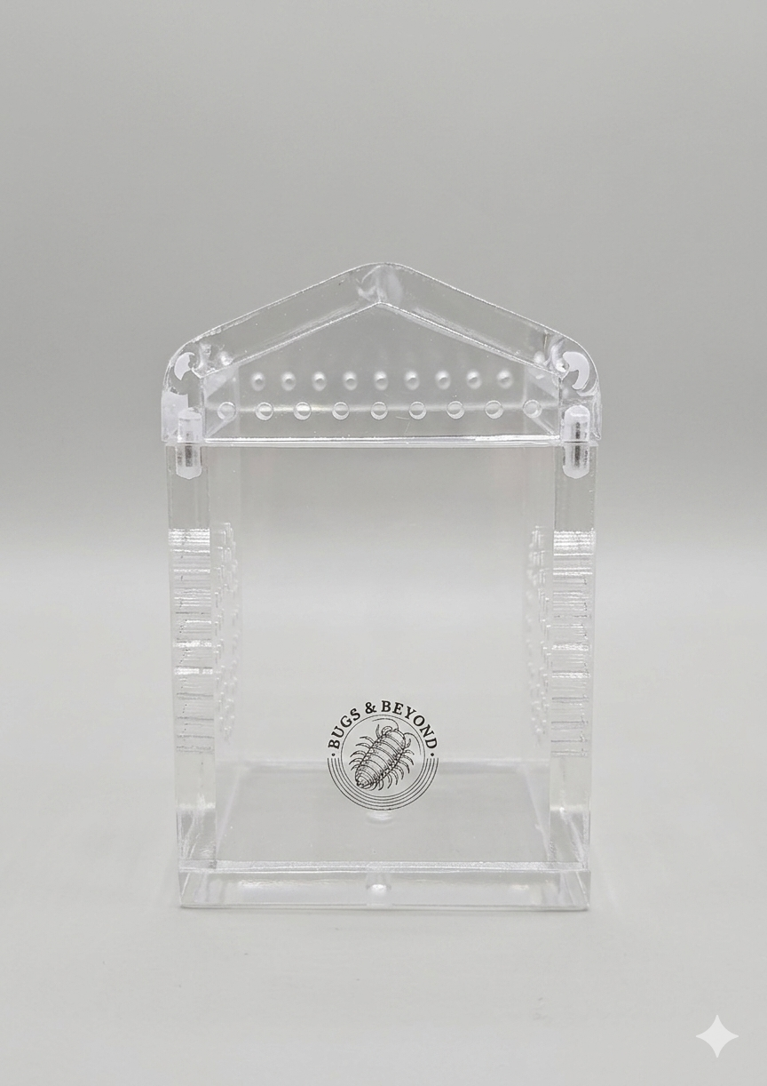 A Clear empty acrylic Sling Enclosure with Bugs & Beyond' logo on a gray background
