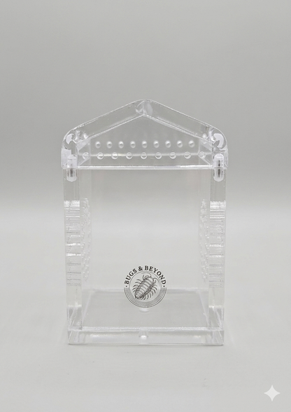 A Clear empty acrylic Sling Enclosure with Bugs & Beyond' logo on a gray background