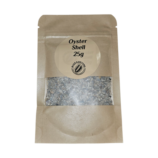 Oyster shell