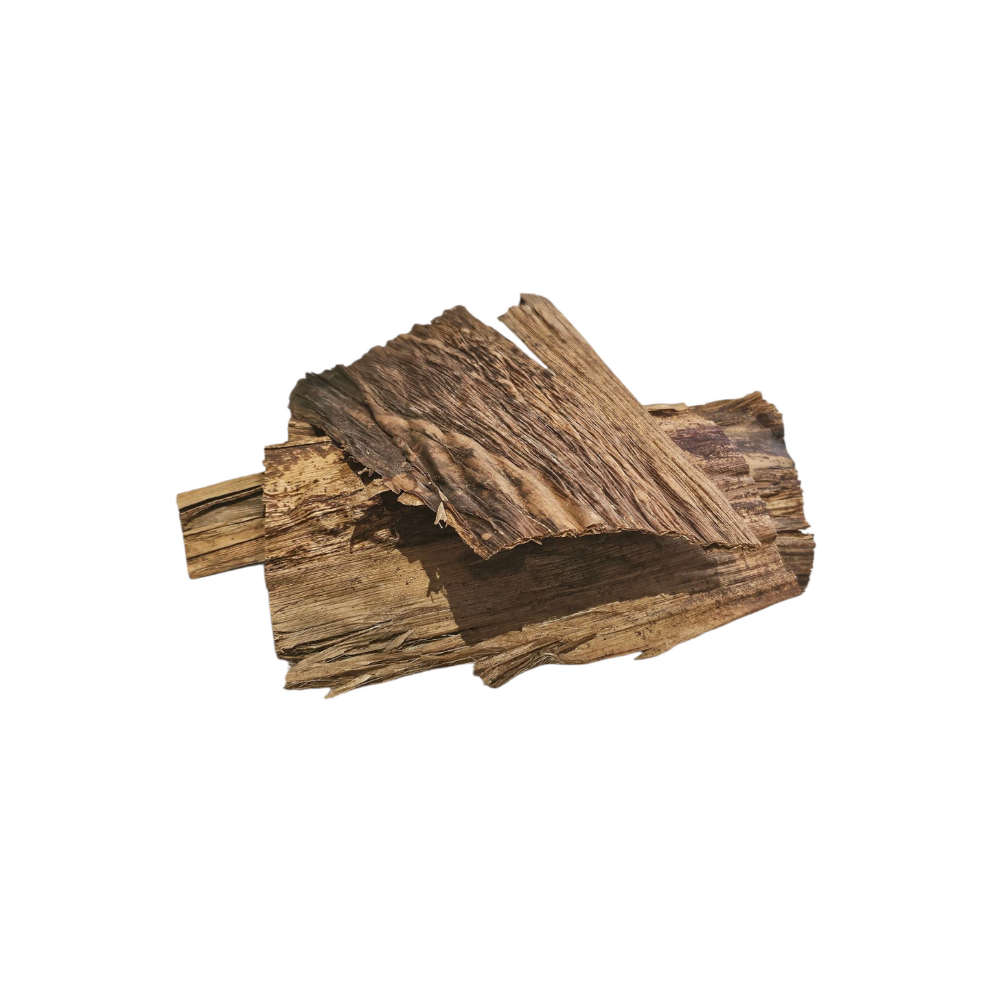 Banana leaves - Bugs & Beyond