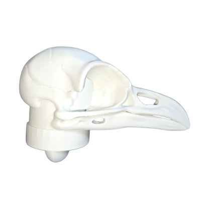 Gothic Range: Magnetic Bird Skull Jumping Spider Hide & Ledge